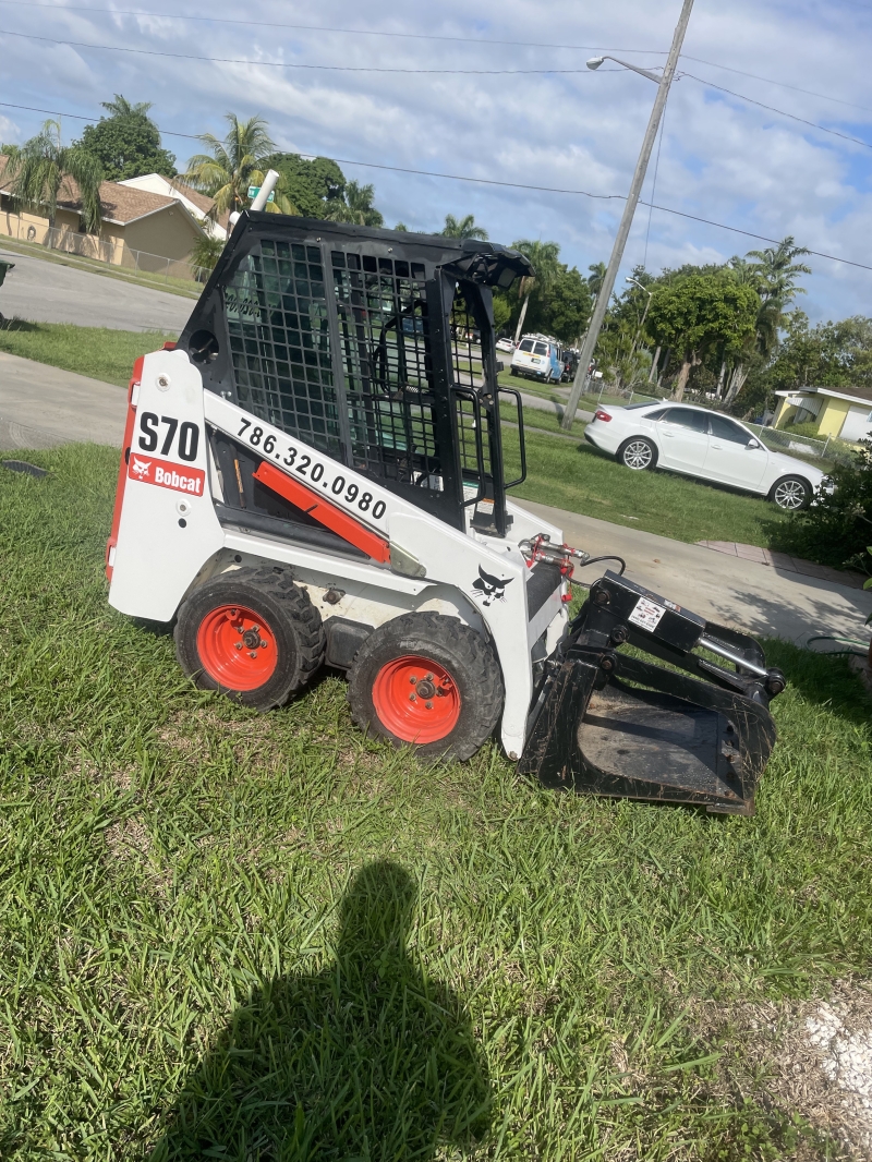 Bobcat